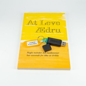 At leve dru - USB stik