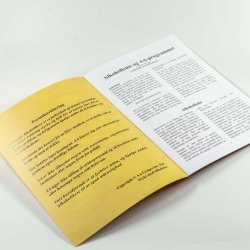 Alkoholisme og AA programmet